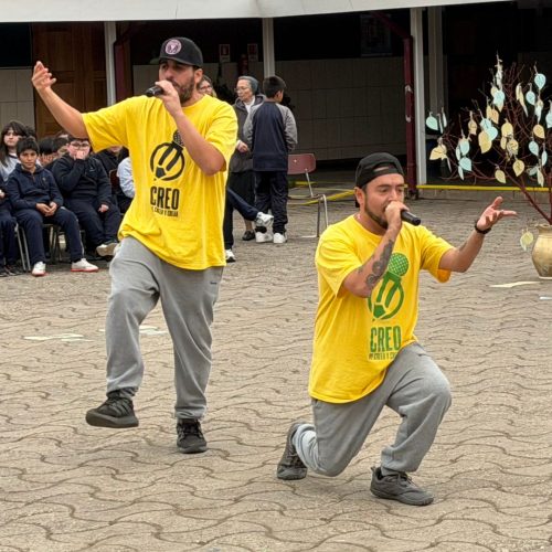 Práctica Profesional Con Tribu Ir (9)