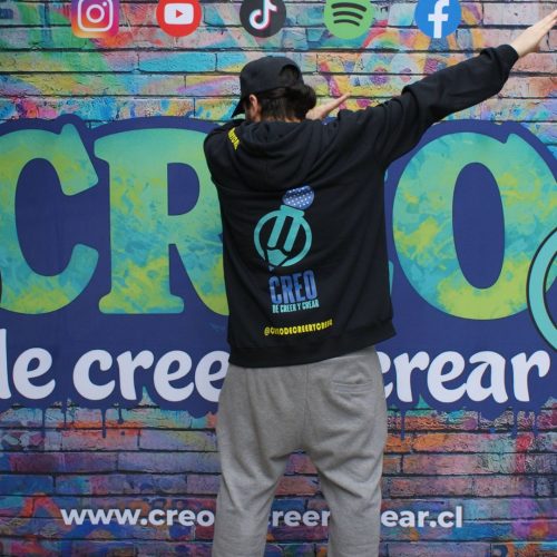 Práctica Profesional Con Tribu Ir